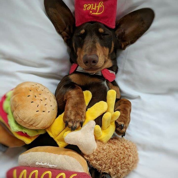 Meet your Posher, Nicole - Picture 5 of 5